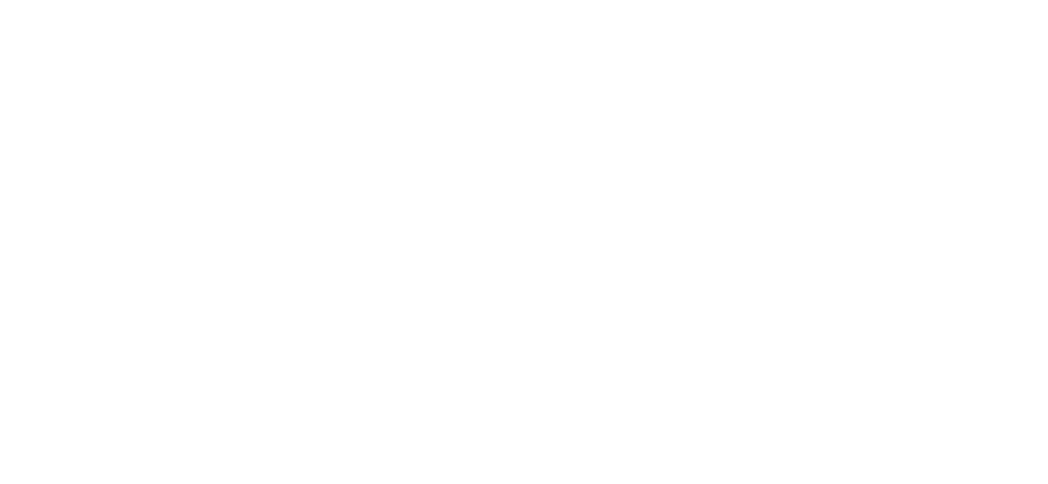 Fallen Saints Society